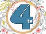 TV-4 logo