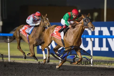 Dubai Racing TV: Taking the "Sport of Kings" Global Dubai Racing TV: Taking the "Sport of Kings" Global