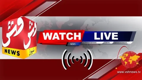 VSH News - Watch online for free