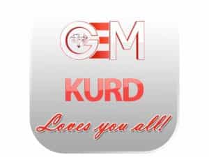 GEM Kurd logo