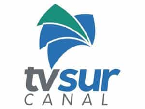 The logo of TV Sur Canal 14