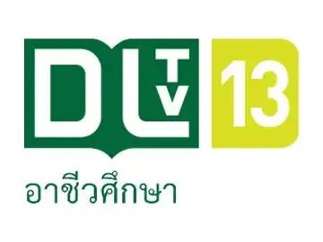 DLTV 13 logo
