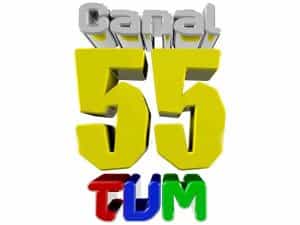Canal 55 TVM logo