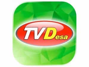 Channel Desa TV logo