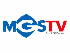 MGS TV Plus logo