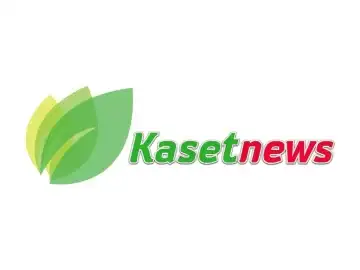Kaset News logo