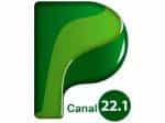 The logo of Pantanal TV