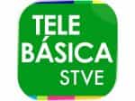 STVE Telebásica 1 logo