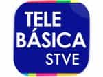 STVE Telebásica 2 logo