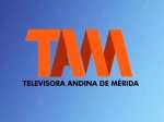 The logo of TAM TV