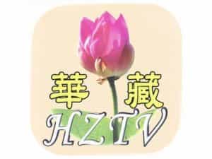 Hwazan Satellite TV logo
