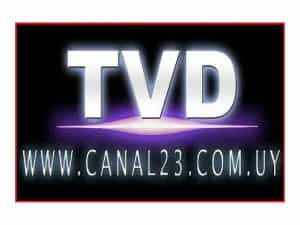 The logo of Canal 23 TVD Florida