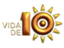 The logo of Vision 10 Estado de México